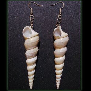 Twisted Shell Earrings
